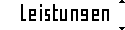 textgrafik Leistungen